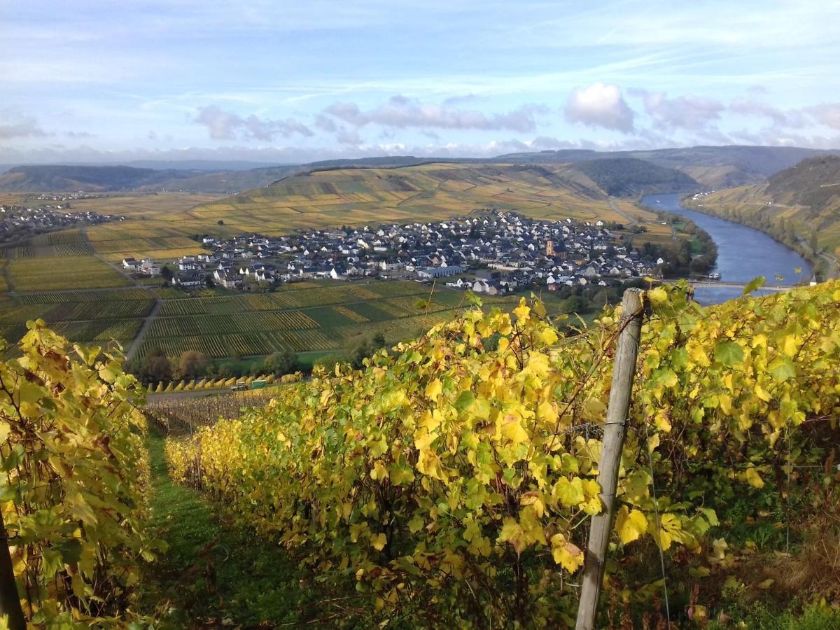 Ferienwohnung Bergblick Trittenheim Dış mekan fotoğraf
