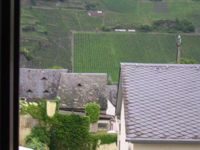 Ferienwohnung Bergblick Trittenheim Dış mekan fotoğraf